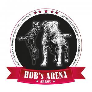 HDB'S ARENA